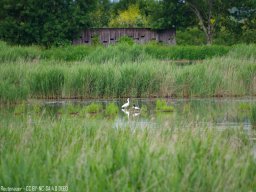 IMGP0245